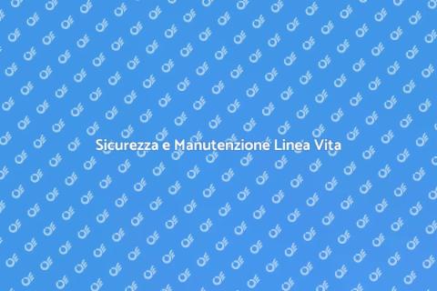 Manutenzione Linea Vita Fissa Sicura