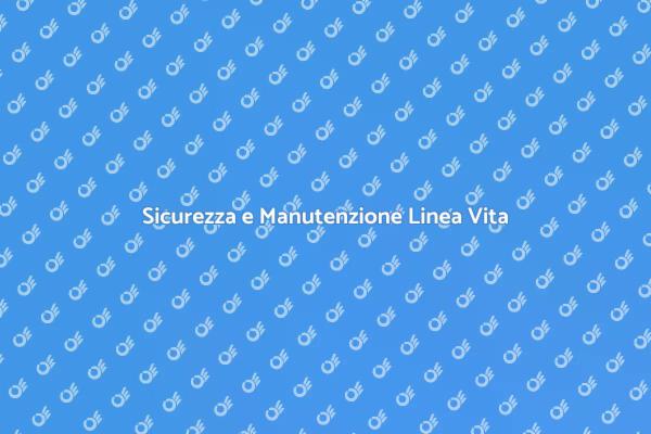 Manutenzione Sicura per Linee Vita Fisse