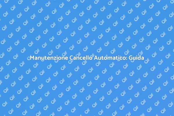 Guida alla Manutenzione del Cancello Automatico