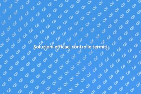 Trattamento contro le termiti efficace