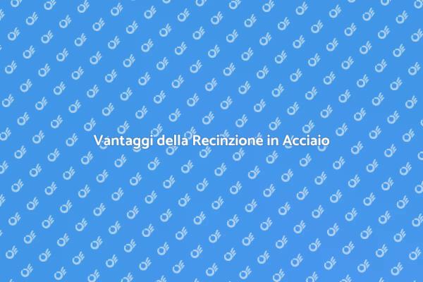 Perché Scegliere Recinzioni in Acciaio?
