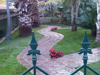 Vivai San Paolo  - Foto 4