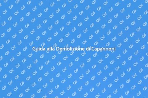 Demolizione Capannone in Cemento