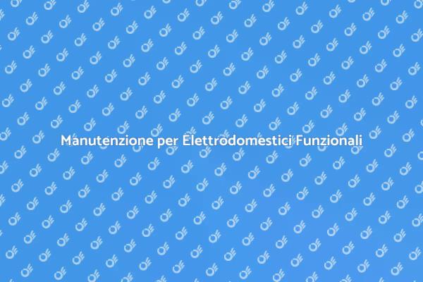 Manutenzione Essenziale per Elettrodomestici