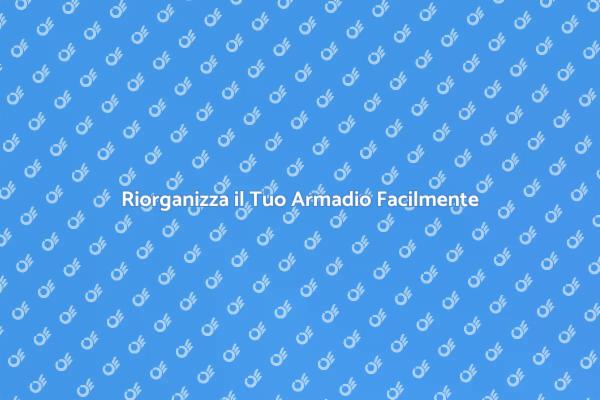 Ottimizza il Tuo Spazio con un Organizer