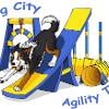 Dog-City 
