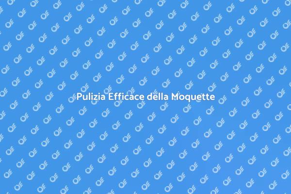 Pulizia Professionale della Moquette