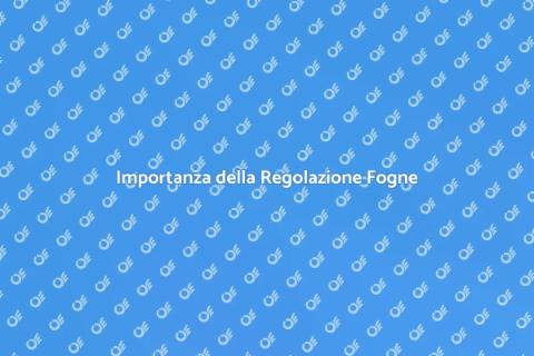 Regolazione Fogne: Guida Completa