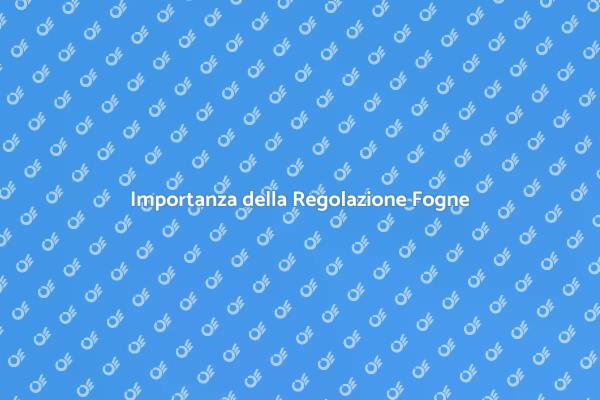 Regolazione Fogne: Un Servizio Essenziale