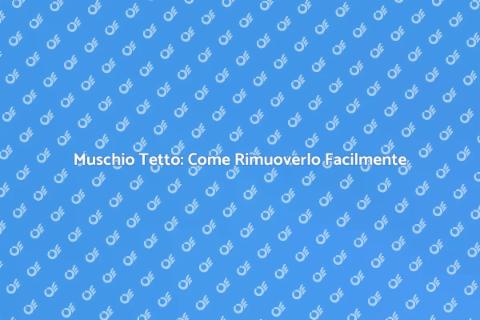 Rimozione Muschio Tetto: Guida Essenziale