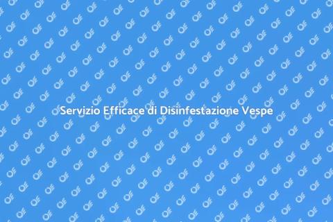 Disinfestazione Vespe Efficace e Sicura