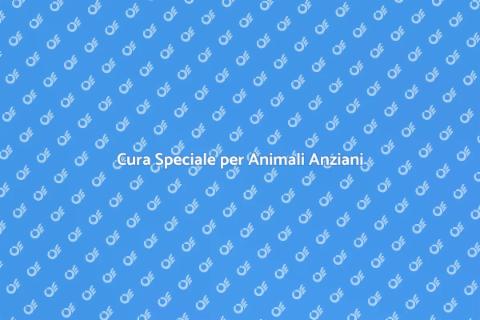 Assistenza per Animali Anziani