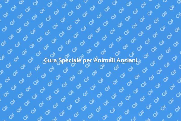Servizi per Animali Anziani