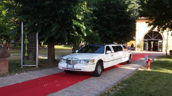limousine service lucca - Foto 10