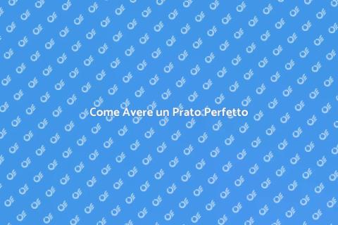 Prato Ben Tenuto: Giardino Splendido
