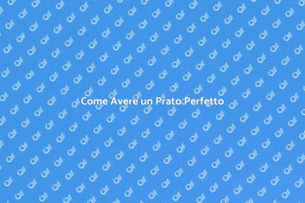 Cura del Prato: Segreti per la Bellezza