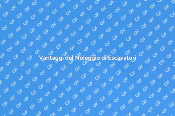 Noleggio Escavatori per Progetti Efficaci