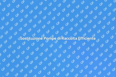 Installazione Pompa di Raccolta