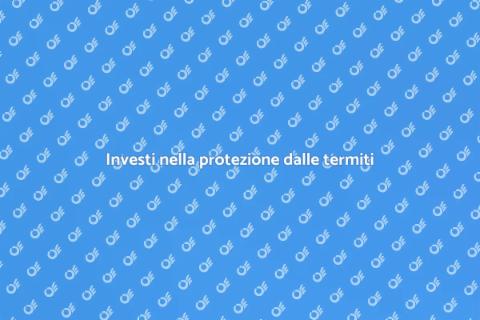 Protezione contro le termiti duratura