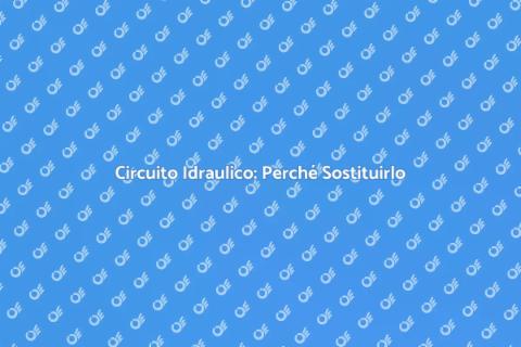 Sostituzione Circuito Idraulico Essenziale