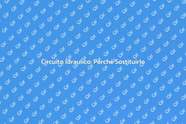 Sostituzione Idraulica: Un Necessario Intervento