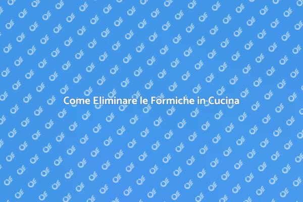 Combatti le Formiche in Cucina