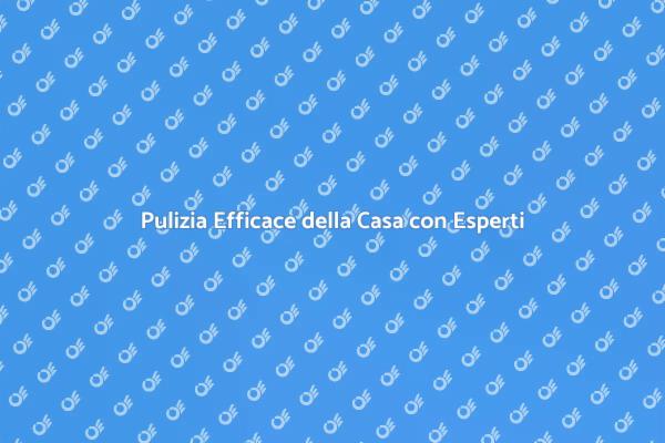 L'Importanza della Pulizia Professionale