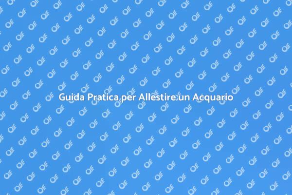 Allestimento Acquario: Guida Completa