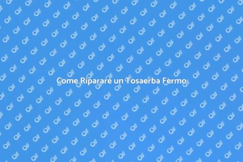 Rimettere in sesto un tosaerba fermo