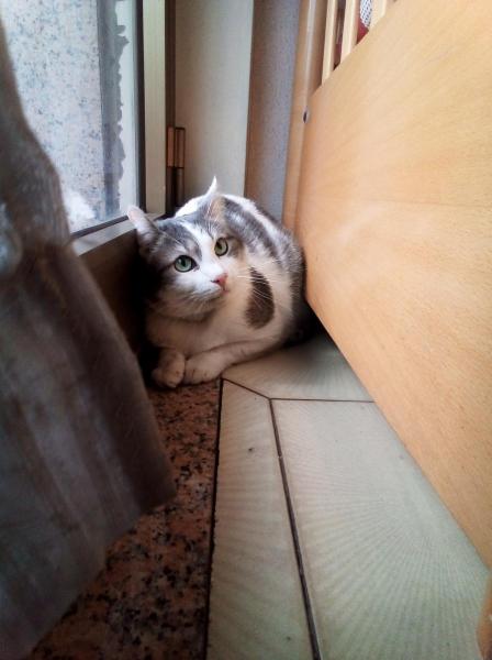 Alessia A. - Foto 2