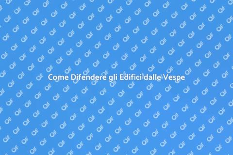 Protezione Edifici da Infestazioni Vespe