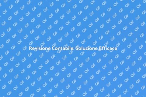 Revisione Contabile per Aziende e Privati