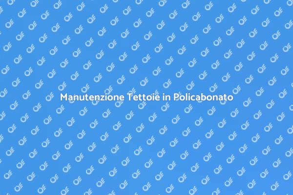 Manutenzione e Resistenza delle Tettoie