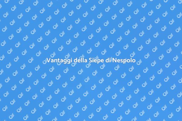 Siepe di Nespolo: Un Giardino Incantevole