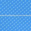Installazione Vetro Parabrezza: Ecco Come Fare