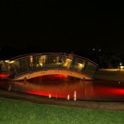 Ricci Piscine Sas  - Foto 3