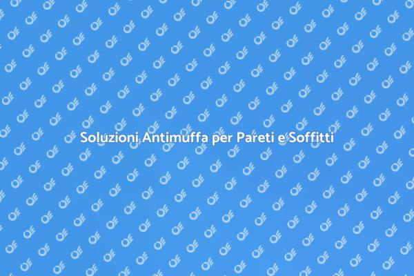 Liberati dalla Muffa con Esperti