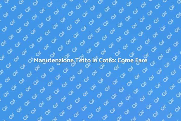 Pulizia Efficace del Tetto in Cotto
