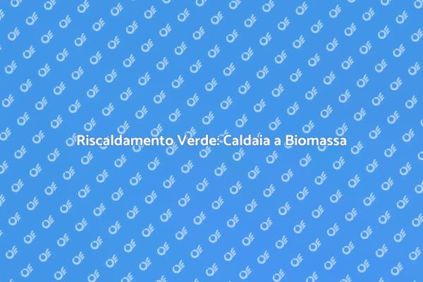 Caldaia a Biomassa: Futuro Verde per Casa