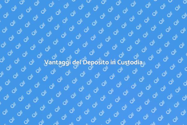 Deposito in Custodia: Sicurezza Garantita