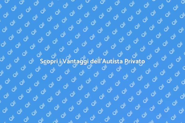 Viaggi Confortevoli con Autista Privato