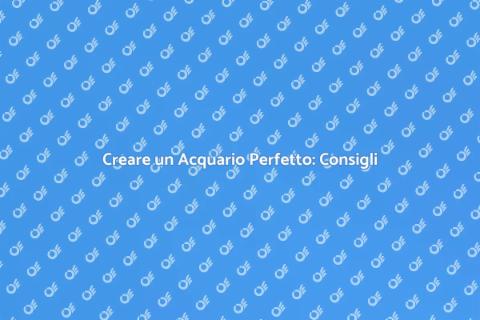 Acquario Equilibrato: Guida Essenziale