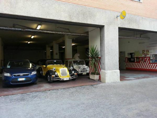 Autoservizi Damasco  - Foto 4