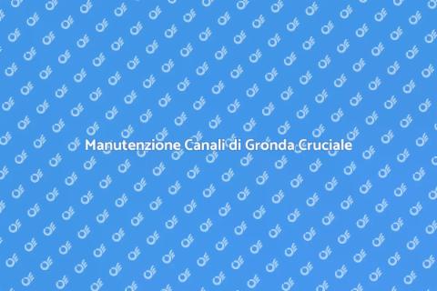 Controllo Canali di Gronda Essenziale