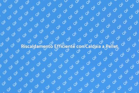 Caldaia a Pellet: Riscalda Ecologico