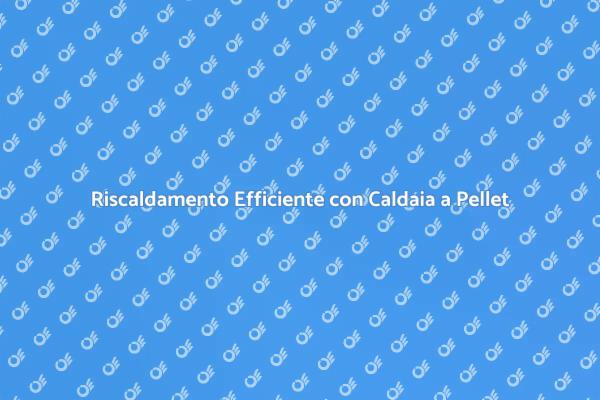 Caldaia a Pellet: Un Futuro Sostenibile