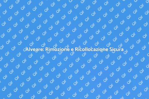 Rimuovere o Ricollocare un Alveare