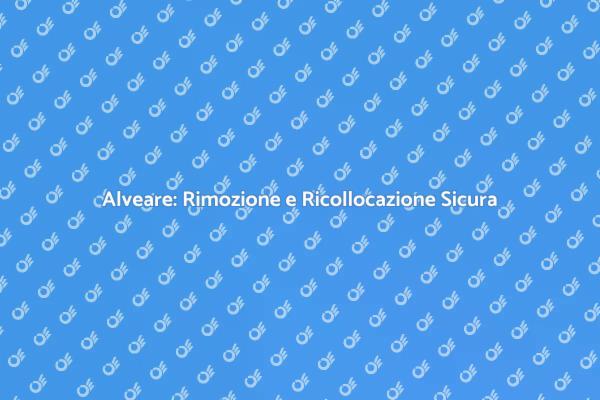 Come Gestire un Alveare in Sicurezza