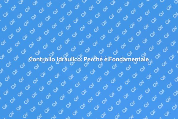 Ispezione Idraulica: Sicurezza e Comfort