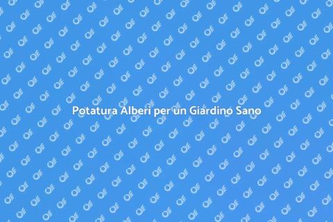 Potatura Alberi: Guida alla Cura